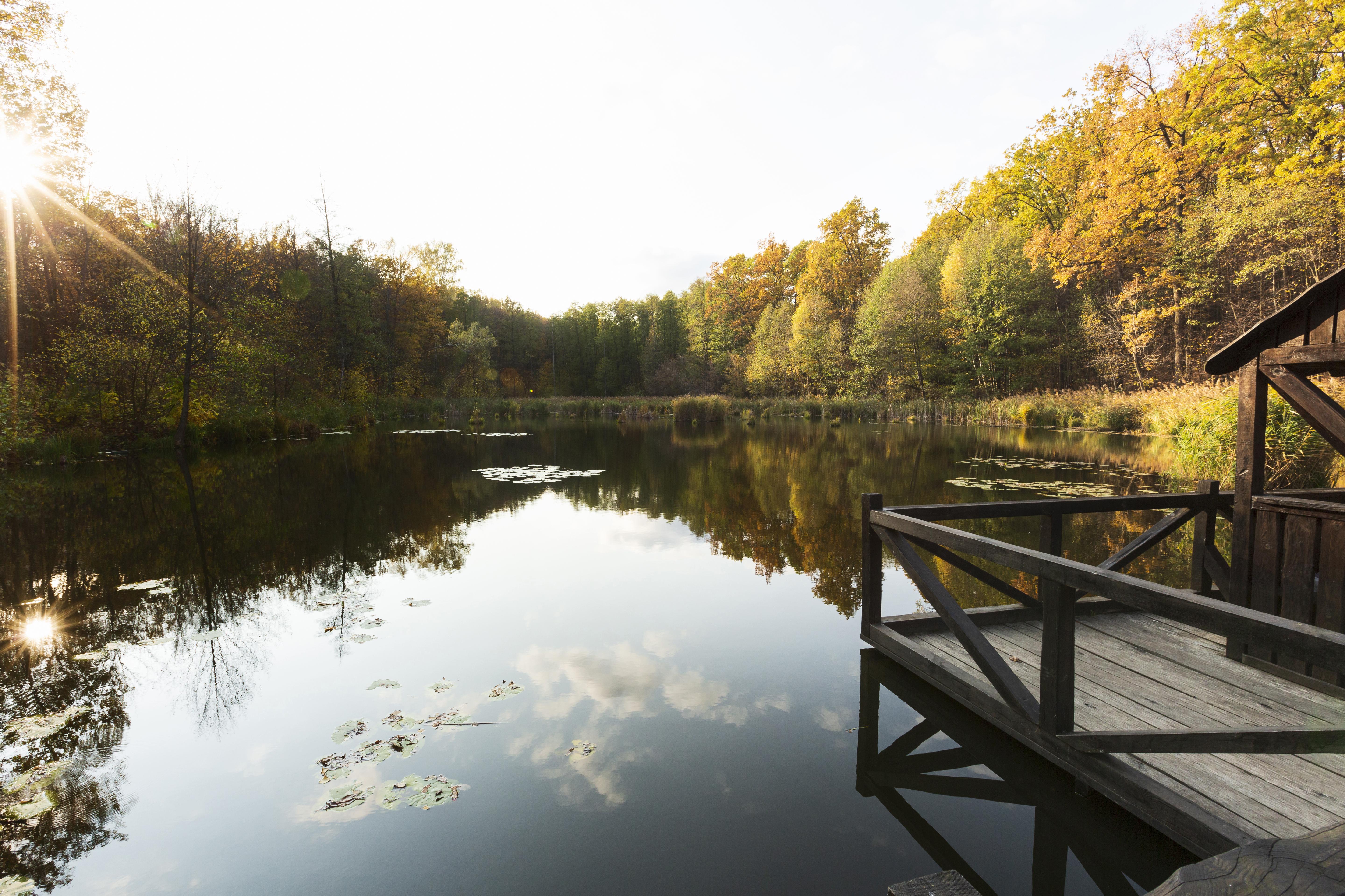 What Features Add the Most Value to an Ohio Log Home Property?